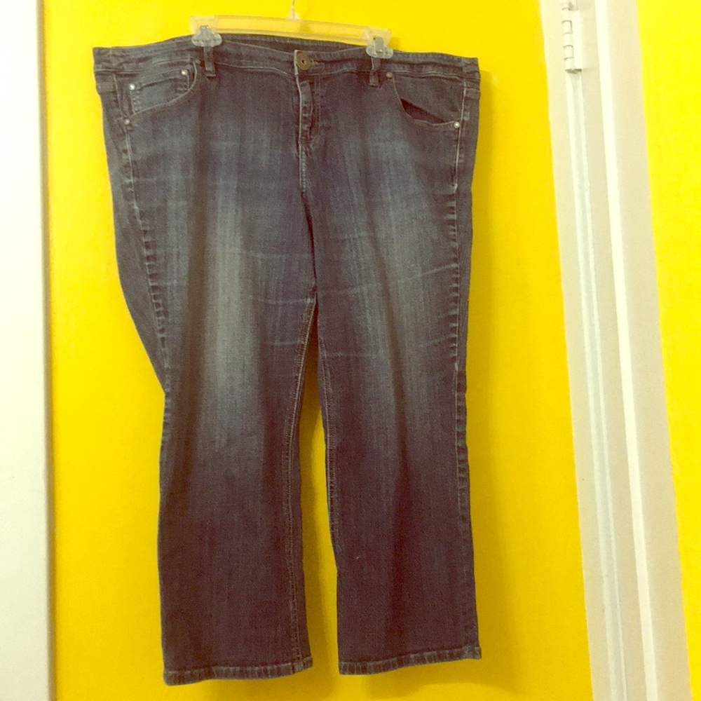 Slightly Distresses Plus Size Jeans.